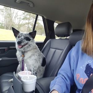 Meet your Posher, Danielle